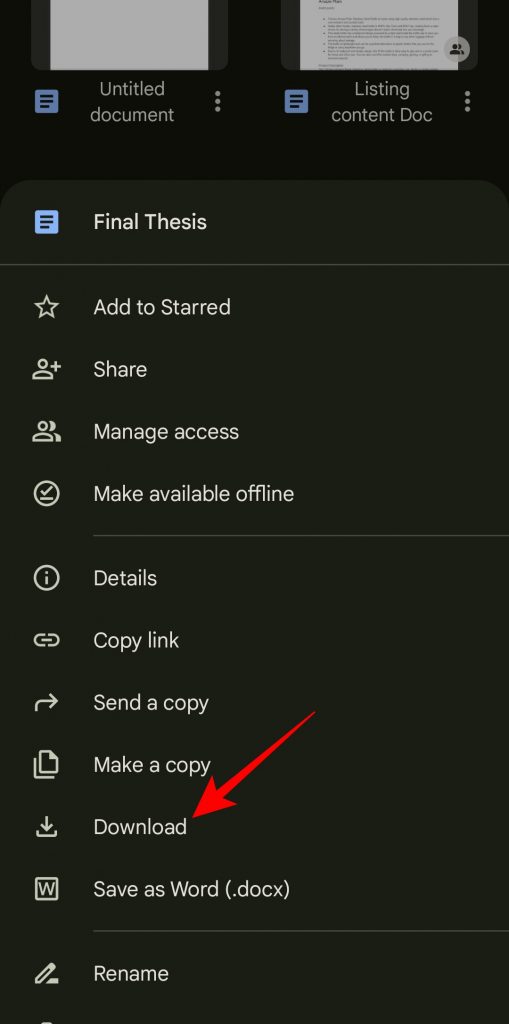 Google Docs download option
